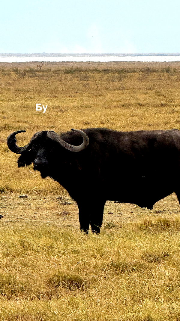 pokrov90 instagram image archive image