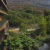 __yaheli_ Altpins Profile Picture