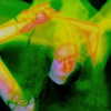 ptpchik Altpins Profile Picture