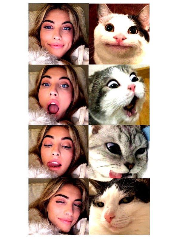 tirtza_cohen instagram image archive image