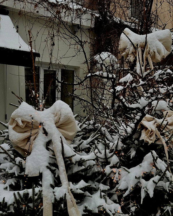 alishevs instagram image archive image