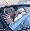 ashleybenson Altpins Profile Picture