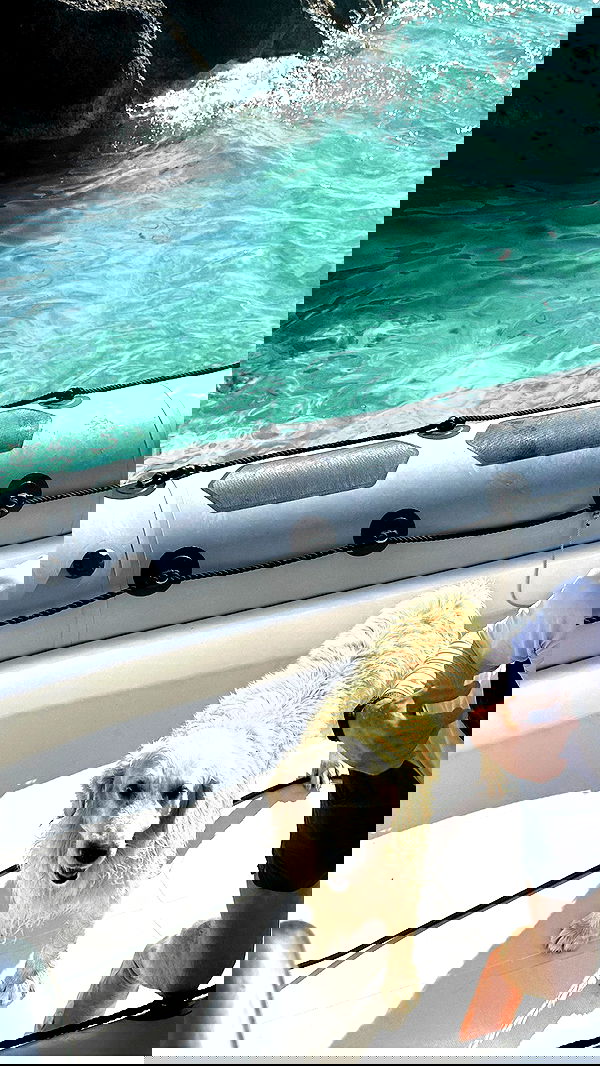 taylor.creeden taylor.creeden archive image