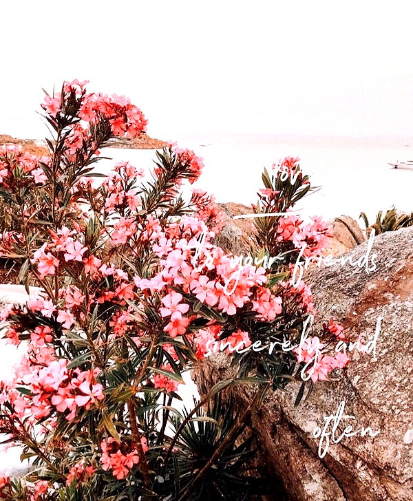 allie_dunn instagram image archive image
