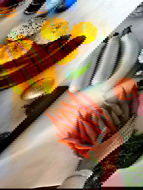 carolinezalog carolinezalog archive image