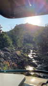 maori_cohen Altpins Profile Picture