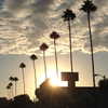 lilireinhart Altpins Profile Picture