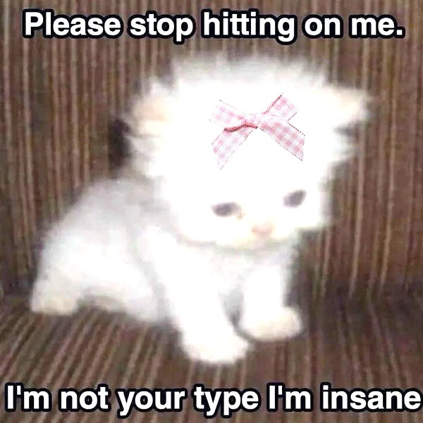 1uvgabi instagram image archive image
