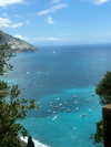 elizabethcampbelljones Altpins Profile Picture
