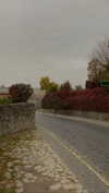 kristti.a Altpins Profile Picture