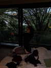 amatveyko Altpins Profile Picture