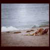 alexandradaddario Altpins Profile Picture