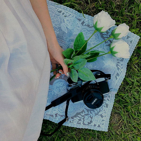 daxbin instagram image archive image