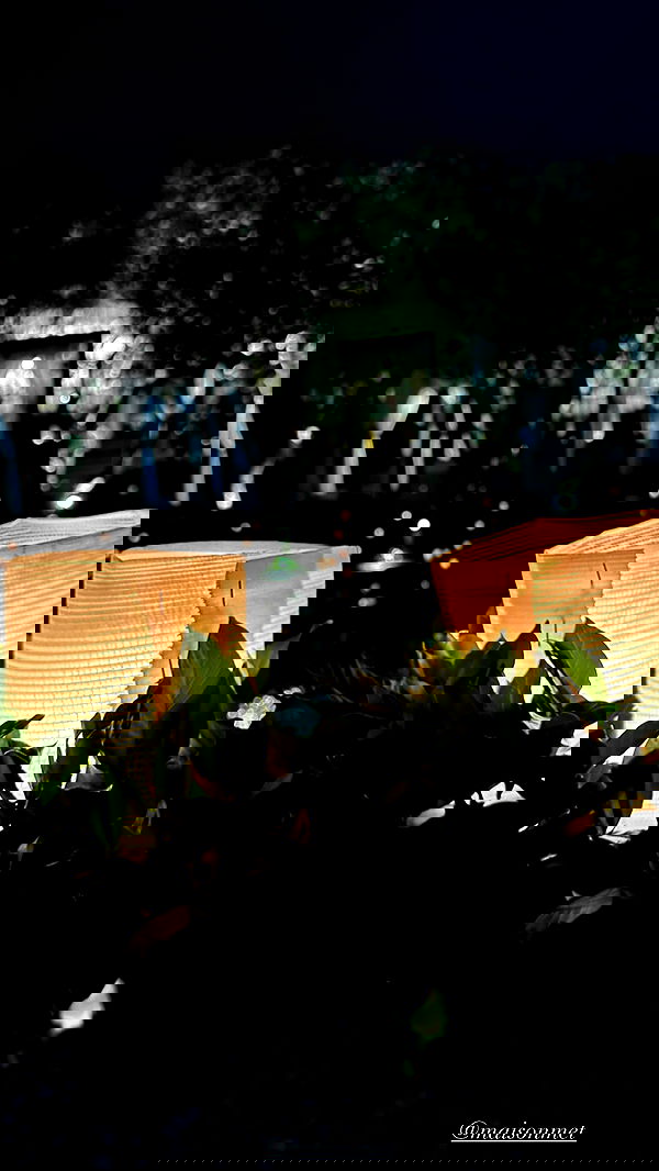 taylor.creeden taylor.creeden archive image