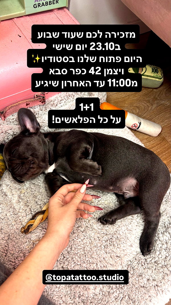 rotem.antman instagram image archive image