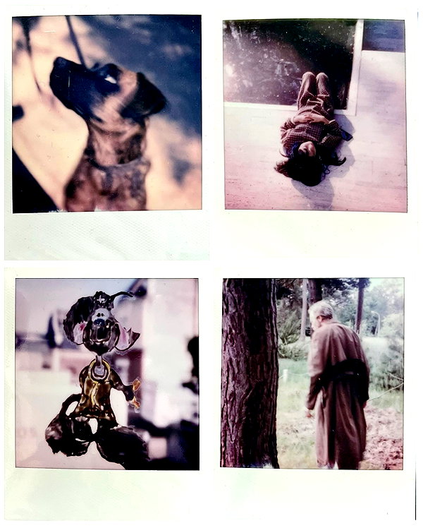 hunterschafer instagram image archive image