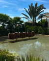 lian_sabag8 Altpins Profile Picture