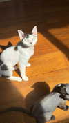 marilyn_damaged Altpins Profile Picture