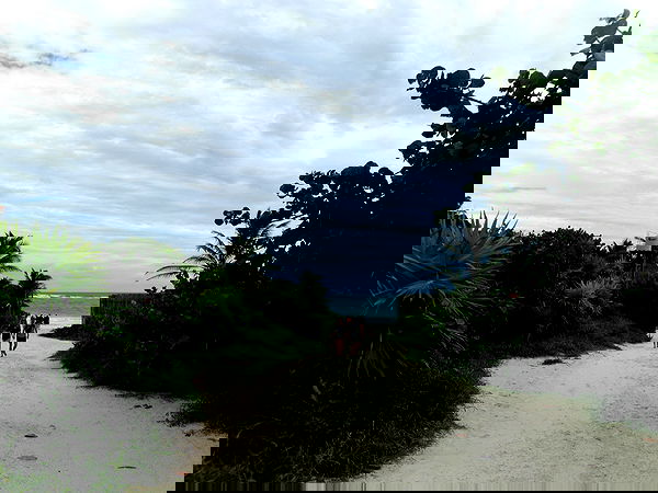 manjolamuriqi manjolamuriqi archive image