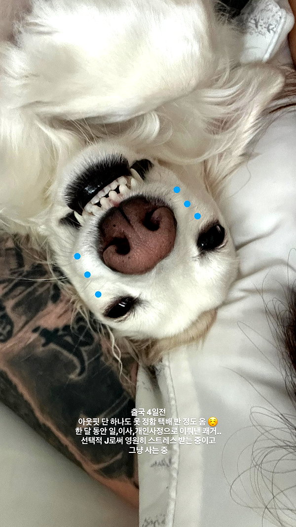 Archived image from @heroineseen on Instagram