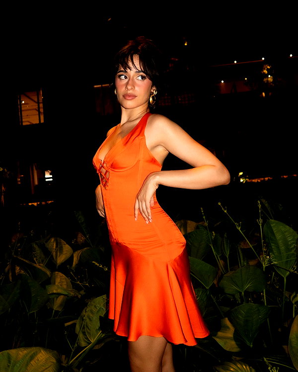 camila_cabello instagram image archive image