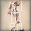 ashleybenson Altpins Profile Picture