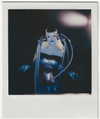 xtina Altpins Profile Picture