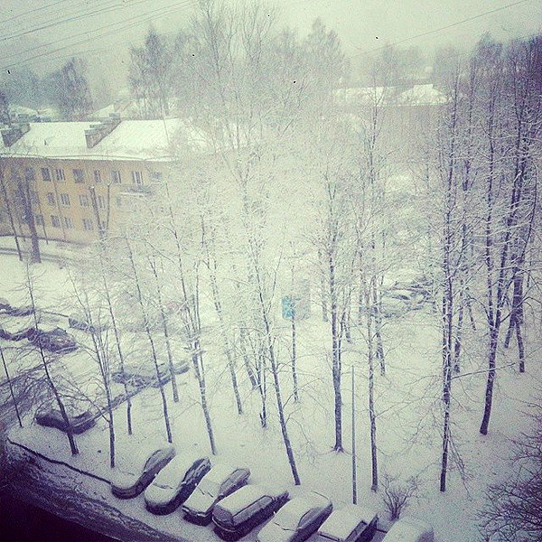 sychevskaya instagram image archive image