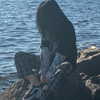 _dead__cherry_ Altpins Profile Picture