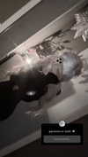 annaemiliaz Altpins Profile Picture