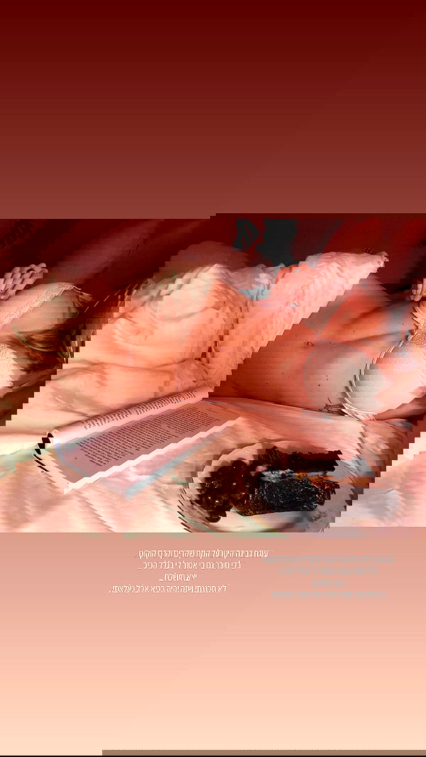 iambohema.v2 iambohema.v2 archive image