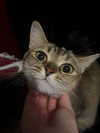 berraclkn Altpins Profile Picture