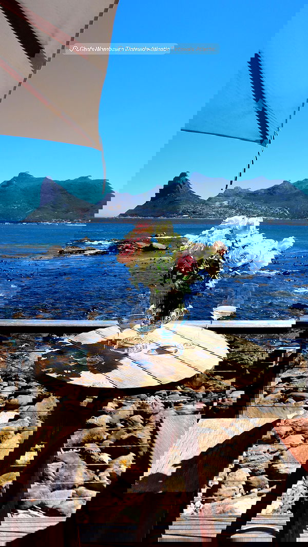 taylor.creeden taylor.creeden archive image