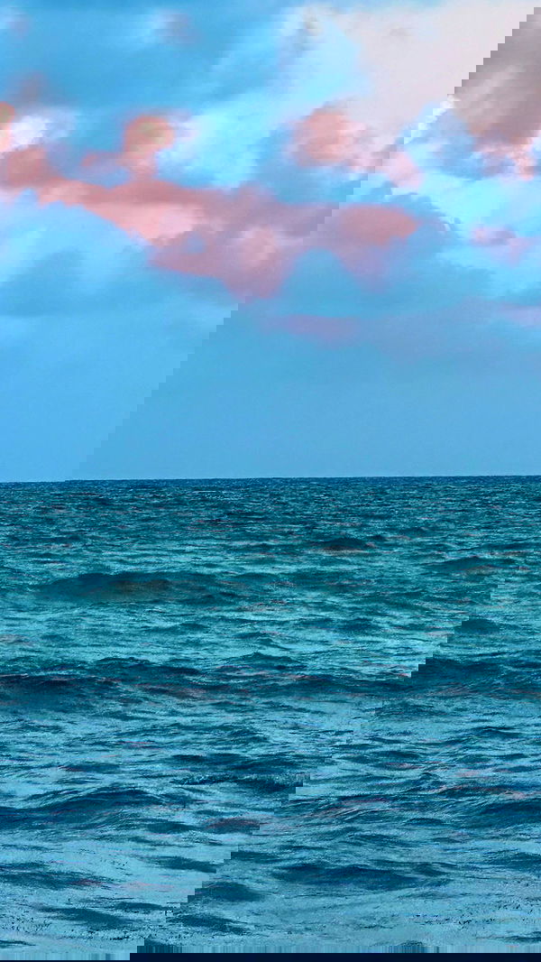 taylor.creeden taylor.creeden archive image