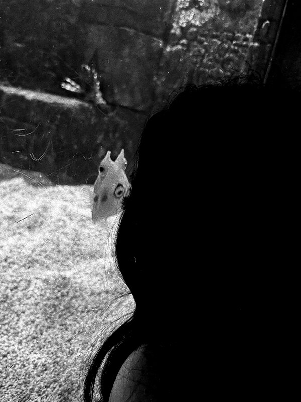 mayamorgannnnnn instagram image archive image