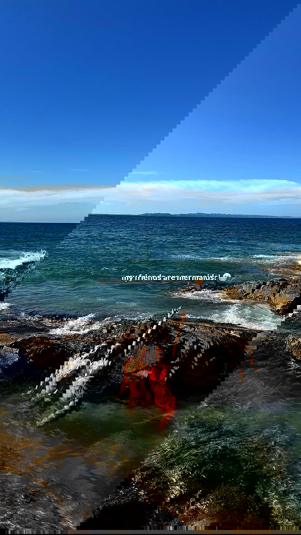 taylor.creeden taylor.creeden archive image