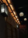 pinx_ir Altpins Profile Picture