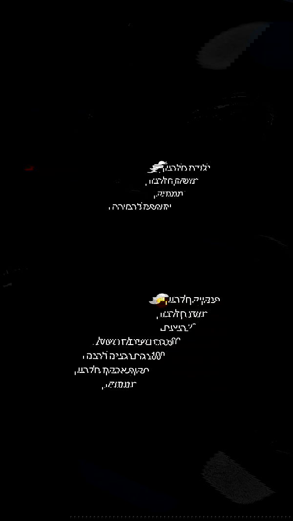 noammalka___ noammalka___ archive image