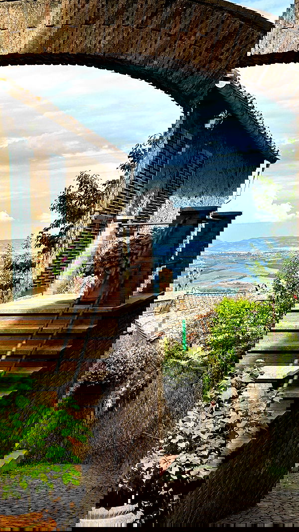 taylor.creeden taylor.creeden archive image