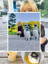 _satomort_ Altpins Profile Picture