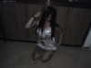 hellokittyangel666 Altpins Profile Picture