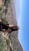adyanacovelli Altpins Profile Picture