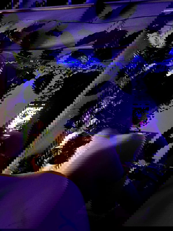 _animechika_ _animechika_ archive image