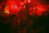 bugz4brainz Altpins Profile Picture
