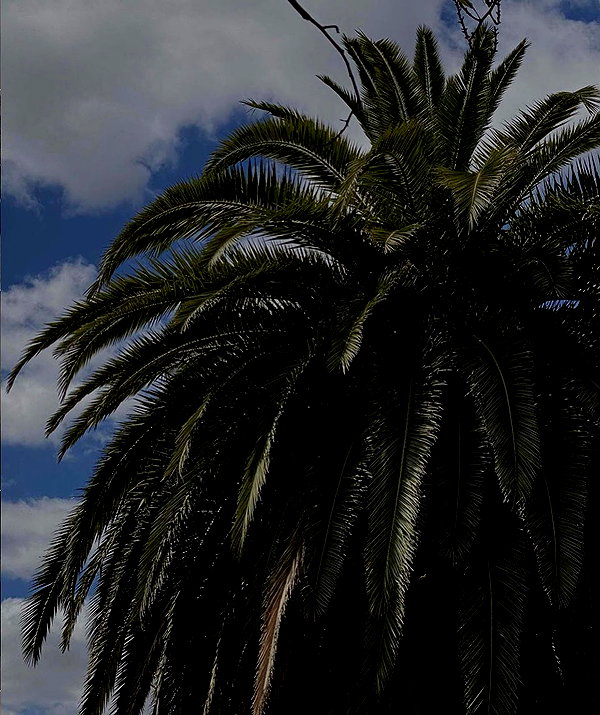 sophadophaa_ instagram image archive image