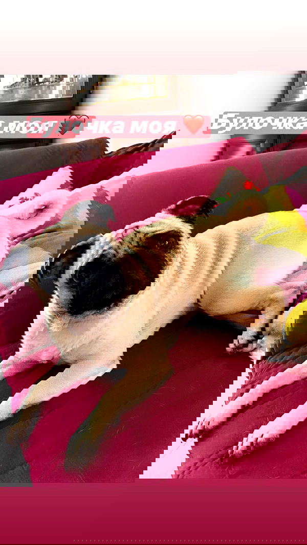 nyityam nyityam archive image