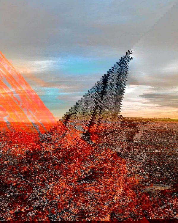 thelizzyporter thelizzyporter archive image