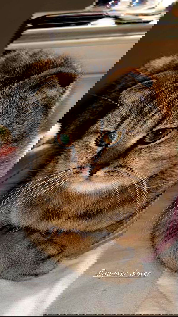 taylor.creeden taylor.creeden archive image