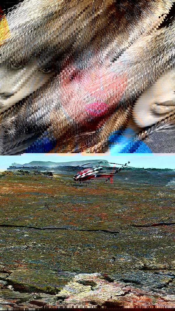 taylor.creeden taylor.creeden archive image