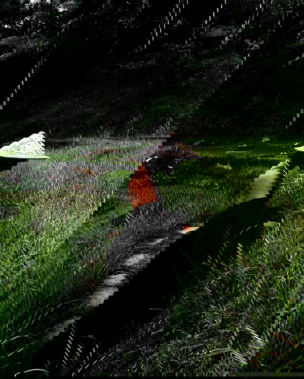 kkulakovaa image ~ Altpins